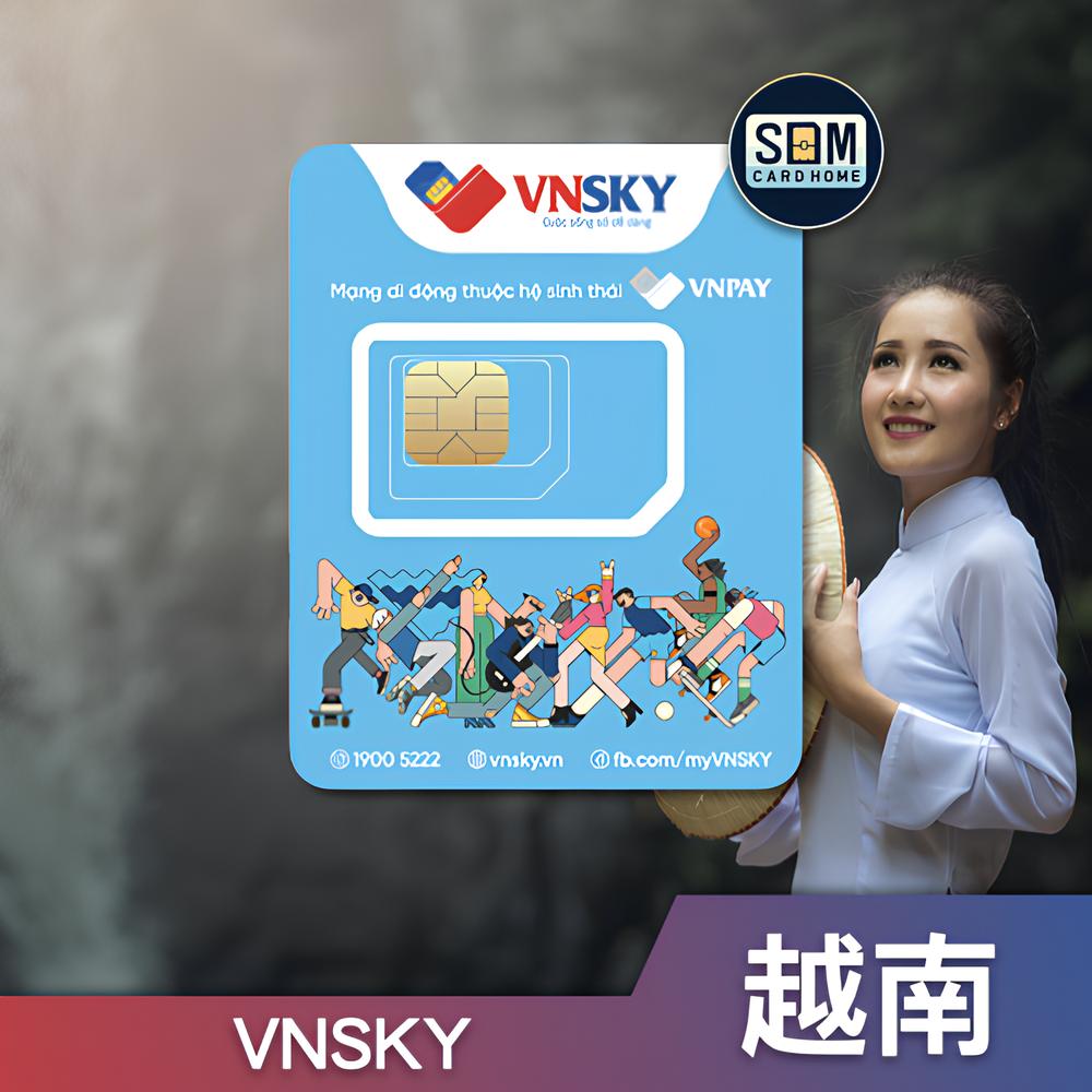 越南VNSKY